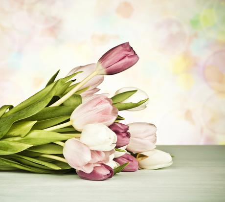 Welche blumen zum valentinstag schenken