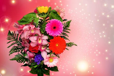 Welche blumen zum valentinstag schenken