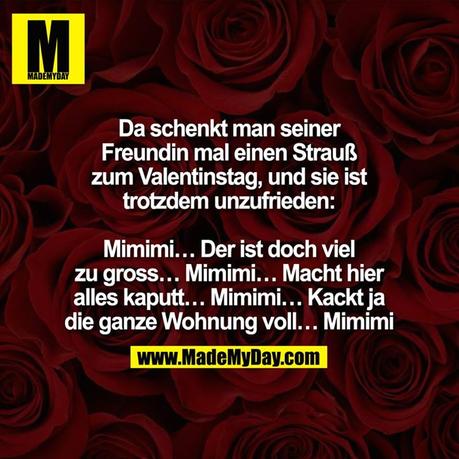 Valentinstag dem mann was schenken