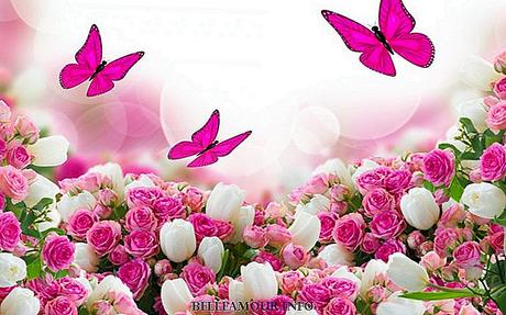 Gluckwunsche zum geburtstag cousin