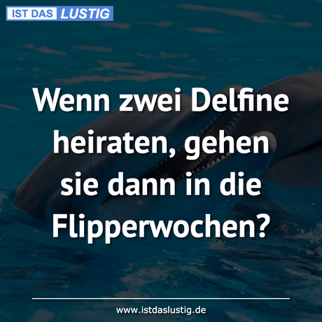 Lustiger BilderSpruch - Wenn zwei Delfine heiraten, gehen sie dann in...
