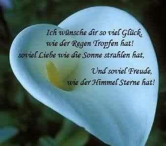 Gute wunsche fur zukunft