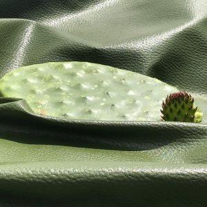 Vgeanes Leder aus Kaktus