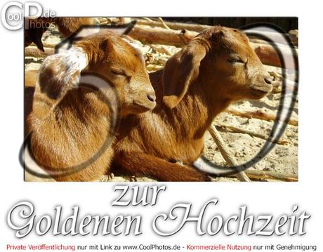 Kostenlose gluckwunschkarten goldene hochzeit