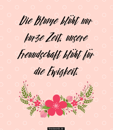 Geburtstagswunsche beste freunde