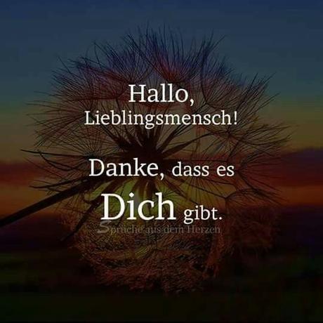 Spruch danke geburtstagswunsche