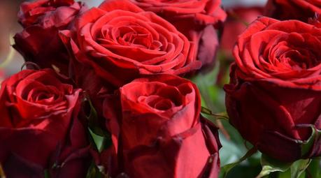 Kritik am valentinstag