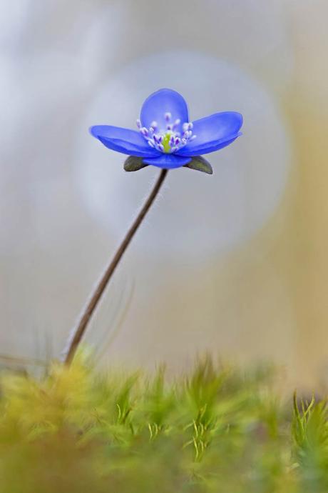 Ich wunsche ihnen noch eine schone woche