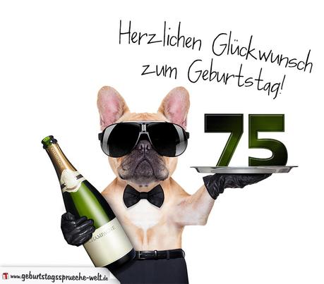 Geburtstagbpruche zum 75 lustig