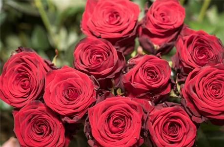 Gute ideen fur den valentinstag