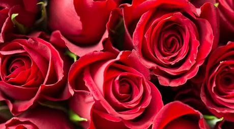 Blumen zu valentinstag schenken