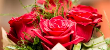 Blumen zu valentinstag schenken