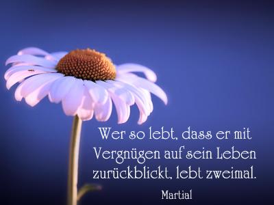 Geburtstagswunsche zum 75 geburtstag oma