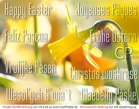 Ich wunsche euch frohe ostern spanisch