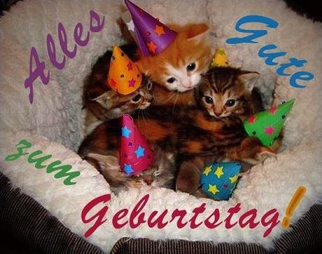 Edle geburtstagswunsche