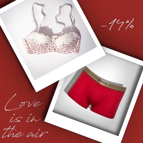 Schloss wilhelminenberg valentinstag