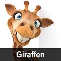 Geburtstagswunsche fur tiere