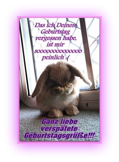 Geburtstagswunsche fur tiere