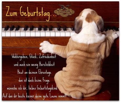 Geburtstagswunsche fur tiere