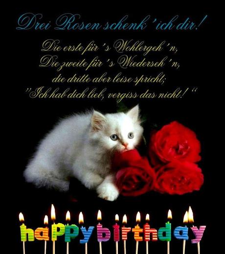 Geburtstagswunsche fur tiere