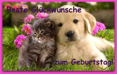 Geburtstagswunsche fur tiere