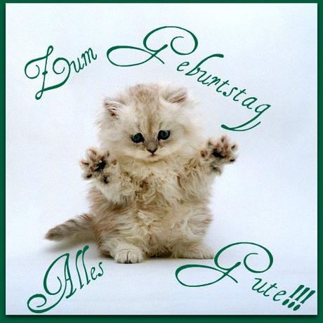 Geburtstagswunsche fur tiere