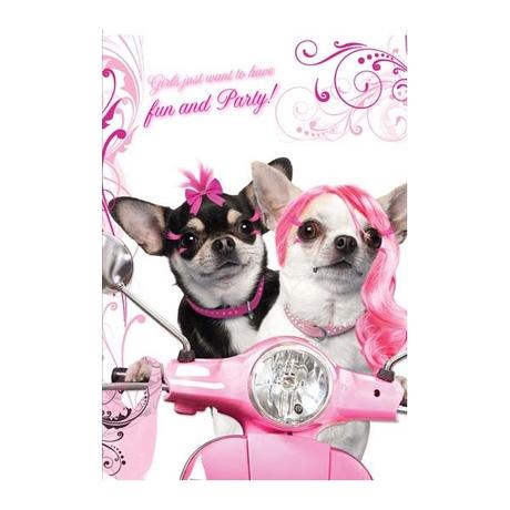 Geburtstagswunsche fur tiere