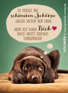 Geburtstagswunsche nachtraglich witzig