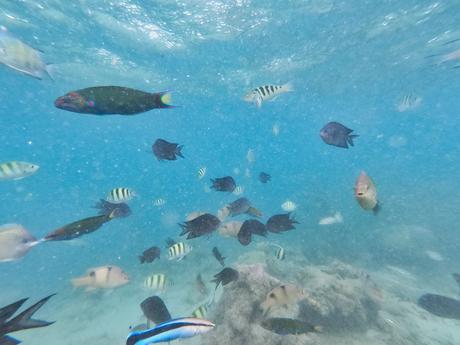 Eine Tour in der Honda Bay von Palawan