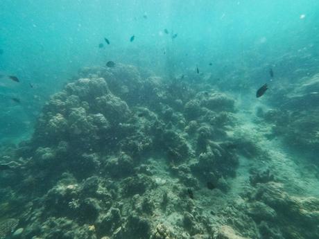 Eine Tour in der Honda Bay von Palawan