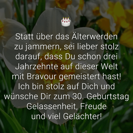 Geburtstagswunsche zum 30 geburtstag sohn