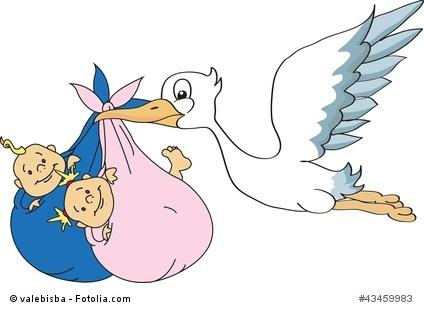 Spruch geburtstag zwillinge