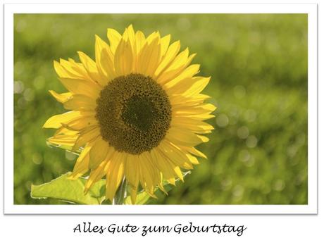 Geburtstagswunsche online drucken