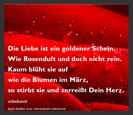 Valentinstag spruche gegen