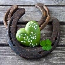 Wunsche studienbeginn spruche