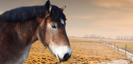 Ganzkörperspiegel Test & Vergleich (02/2020): Die 5 besten Ganzkörperspiegel