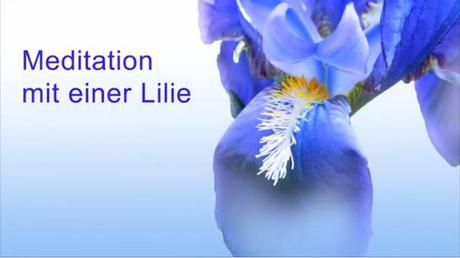 Hochzeitswunsche musik