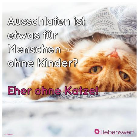 Lustige tierische geburtstagswunsche