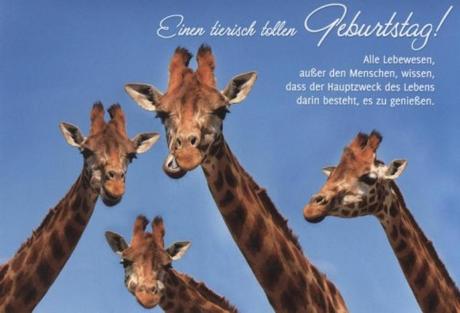 Lustige tierische geburtstagswunsche