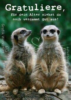 Lustige tierische geburtstagswunsche