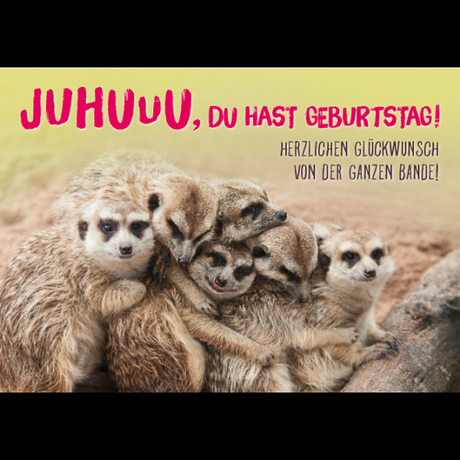 Lustige tierische geburtstagswunsche