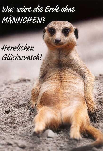 Lustige tierische geburtstagswunsche