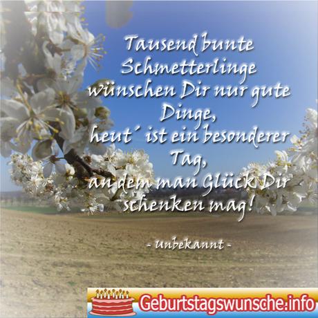 Spruche zum geburtstag neffe