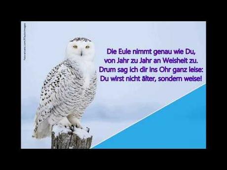 Geburtstagswunsche bilder eule