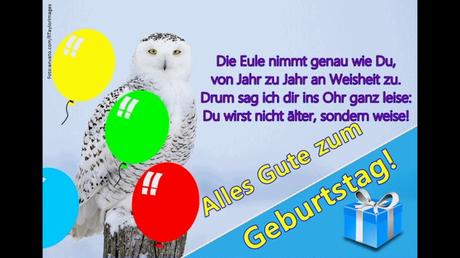 Geburtstagswunsche bilder eule