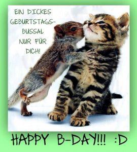 Geburtstagswunsche bilder eule