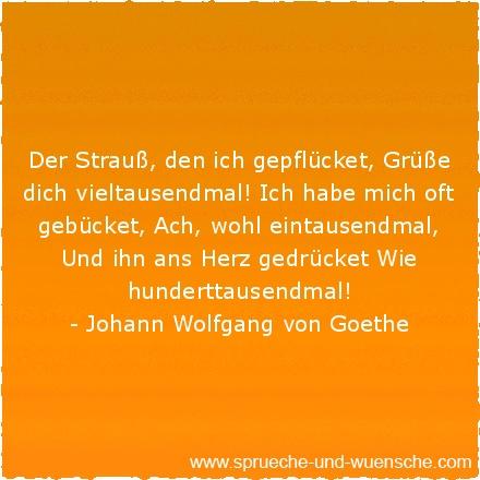 Geburtstagswunsche bilder eule