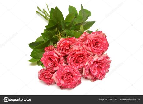 Valentinstag ukraine