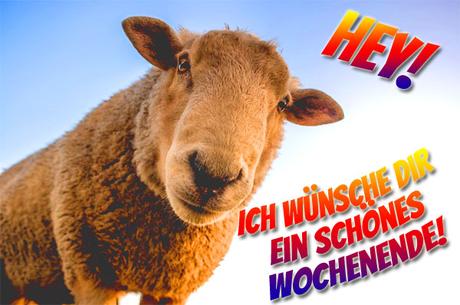 Wunsche ihnen ein schones wochenende e mail