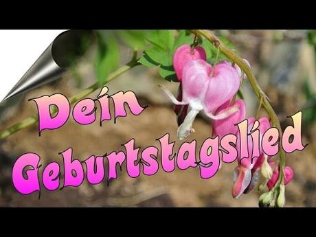 Geburtstagswunsche frauen 26